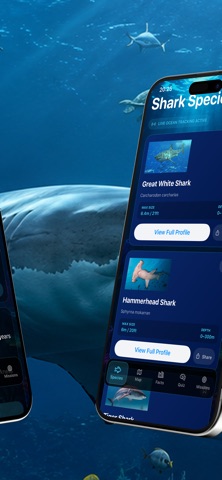 Shark Atlas Underwater iPhone screenshot