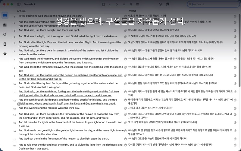 Bible Paste screenshot