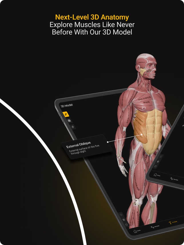 Muscle app free hotsell
