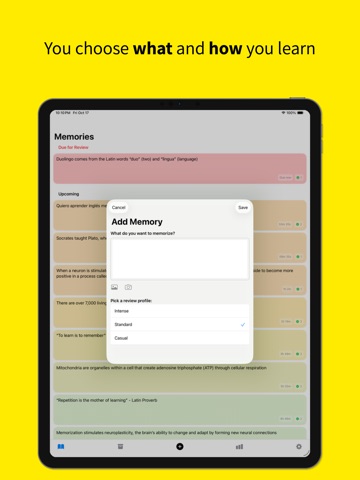 Memorize Anything Forever iPad screenshot