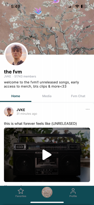 The FVM Screenshot 1 of 6