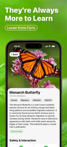 Insect Bug Identifier : Buzzy screenshot