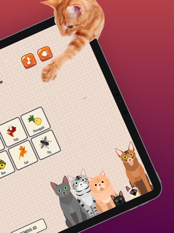 Cat Games iPad screenshot