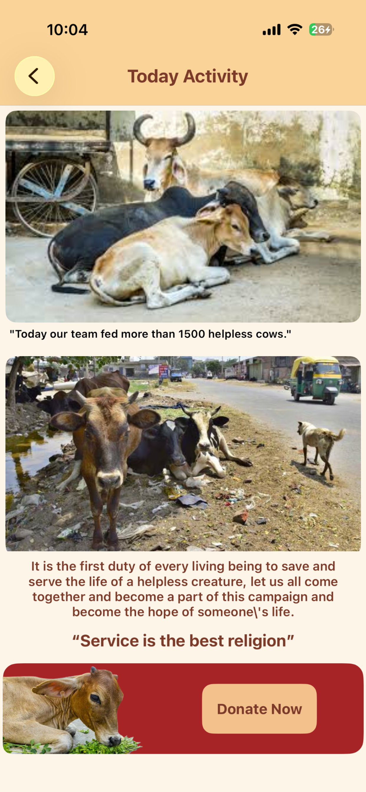 Roti for Cow