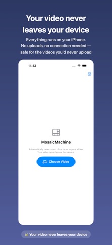MosaicMachine – Video Blur Screenshot 2 of 6