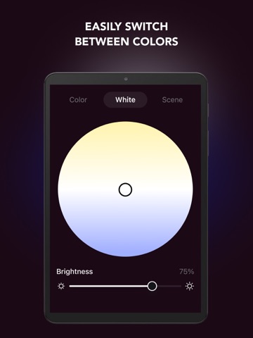 LED Light Controller Remote AI iPad screenshot