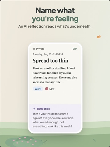 Calmplot: Private AI Journal iPad screenshot