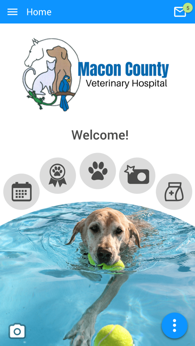 Macon County Vet Hospital Screenshot