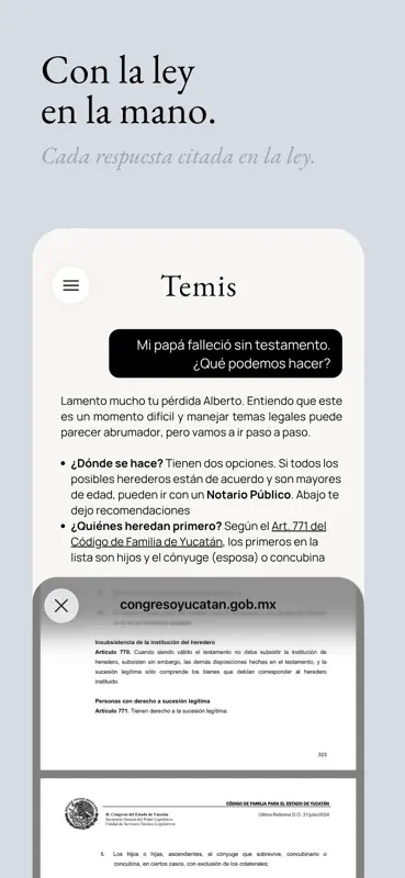 Temis AI screenshot 4 of 8