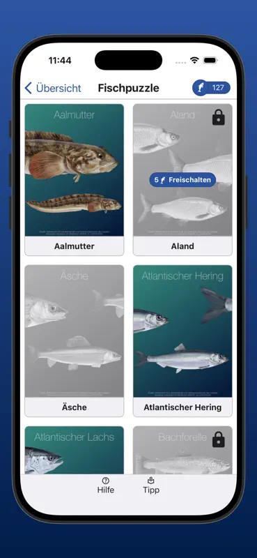 Fischerfragen Schleswig-Holst. screenshot 9 of 10