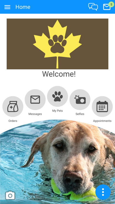 Amber Leaf Animal Hospital Screenshot