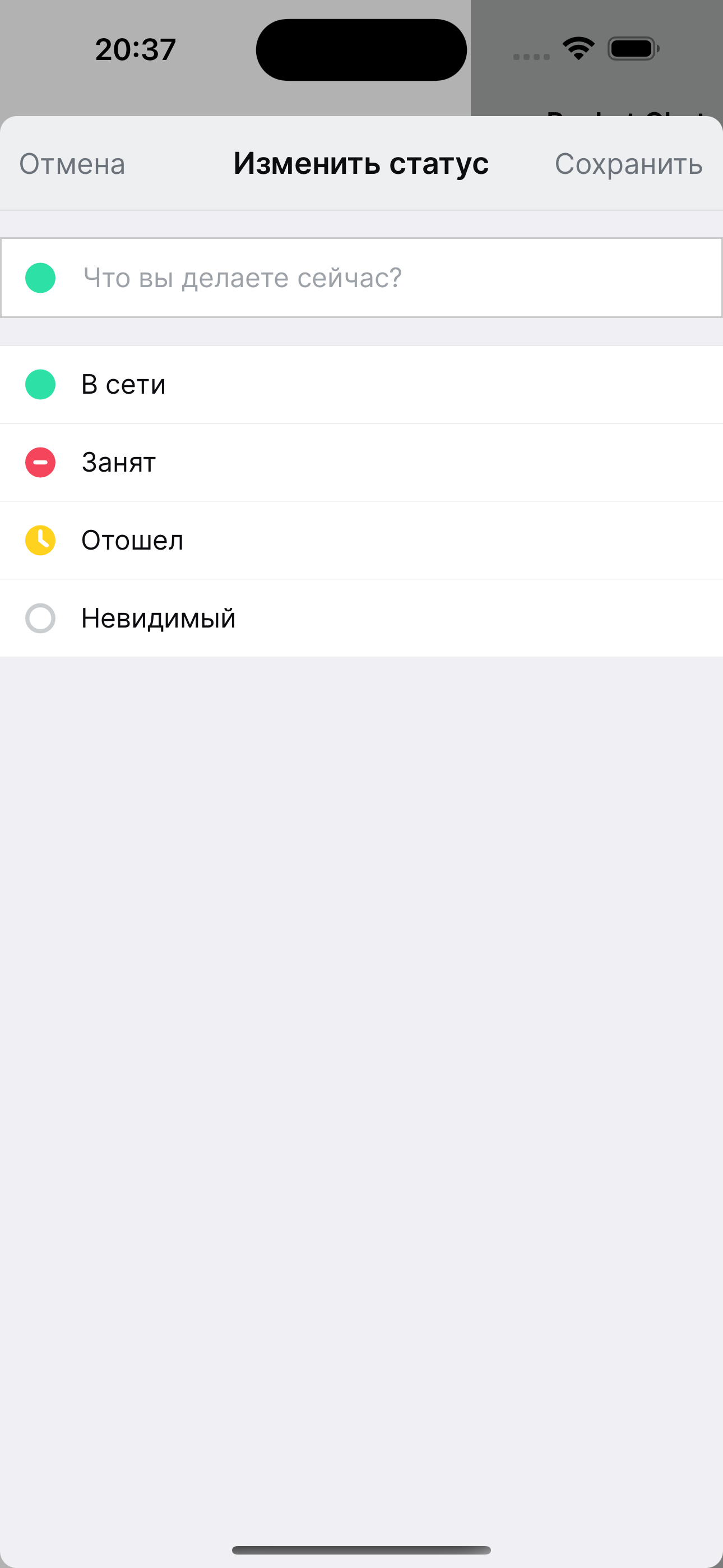 StrelkaChat Public screenshot 6