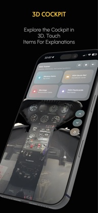 R44 Trainer screenshot 1