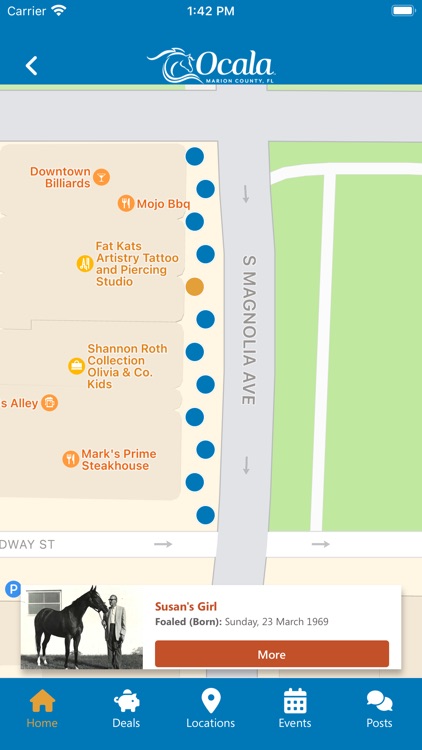 OcalaMarion Travel Guide screenshot-7