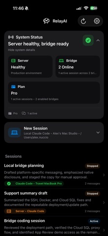 RelayAI Bridge screenshot