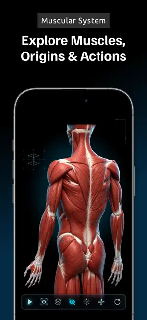 Anatomy 3D Atlas: Human Body screenshot 2