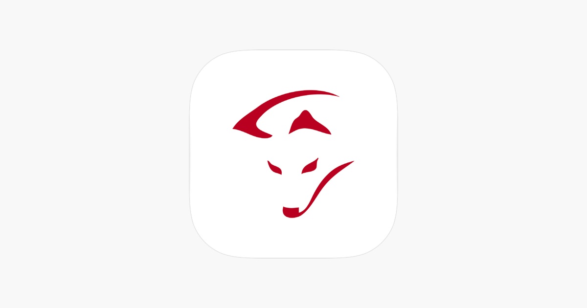 ‎SMARTFOX Go2 - Energiemanger‑App – App Store