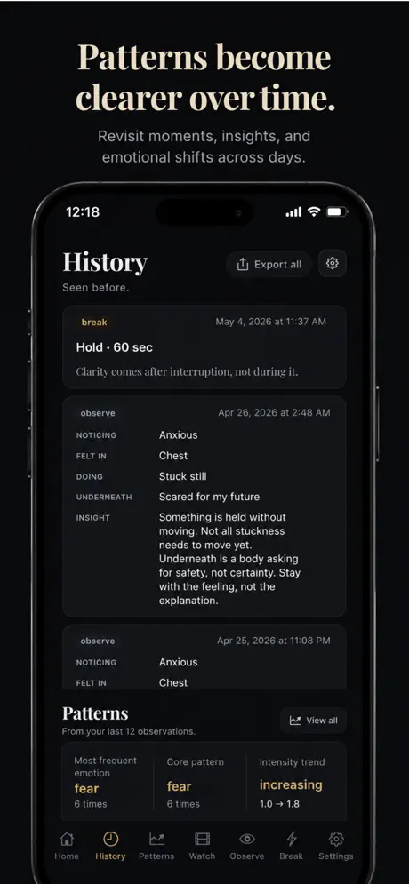 The Unsaid Journal screenshot 4