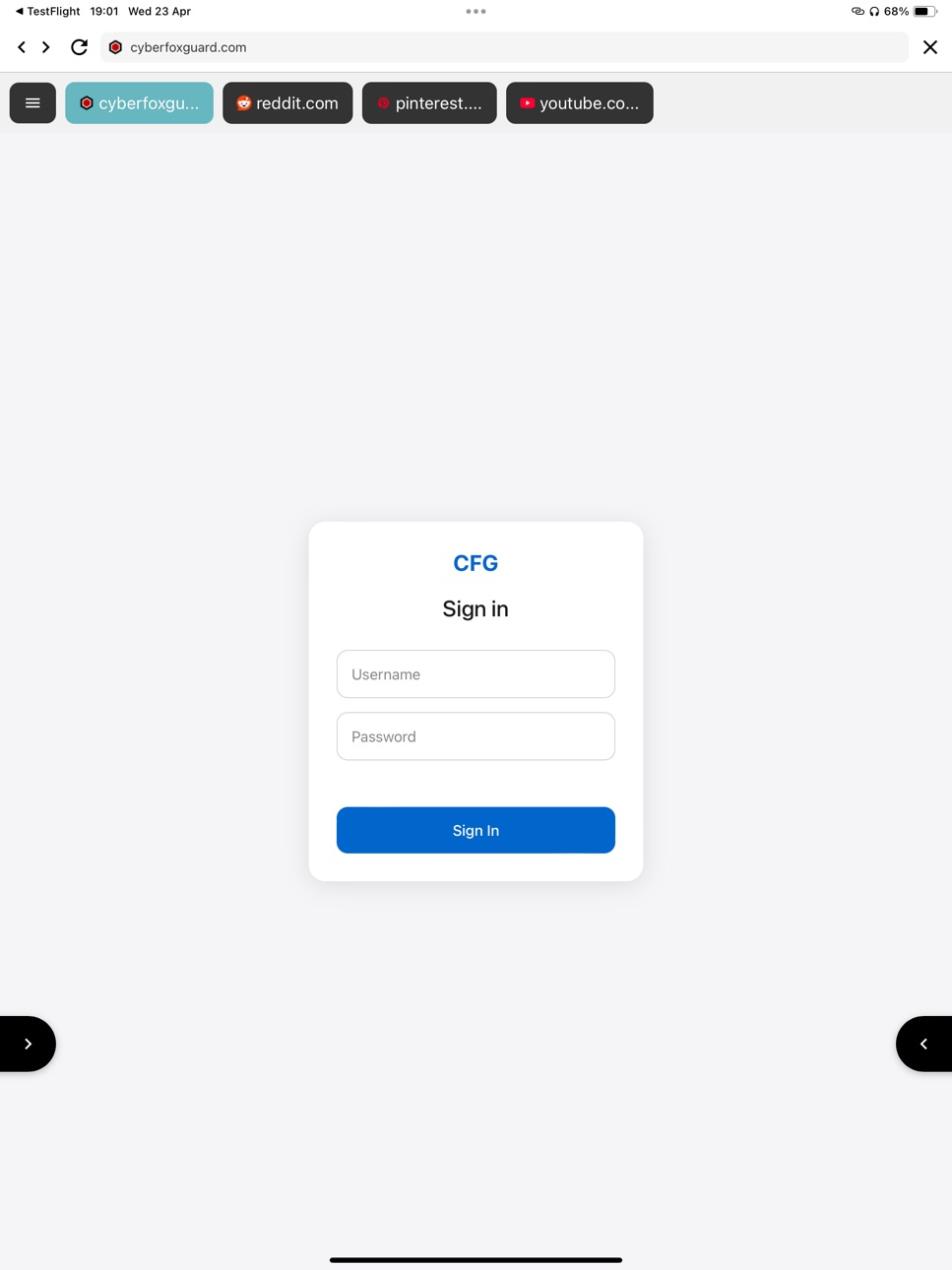 iPad screenshot