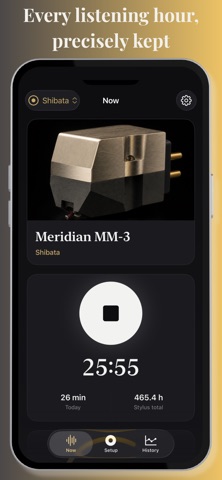 Cartridge Hours: Vinyl Stylus iPhone screenshot