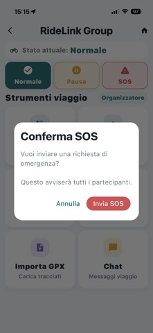 RideLink Group screenshot