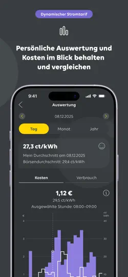 Screenshot von Mein EWE Energie auf dem iPhone 6