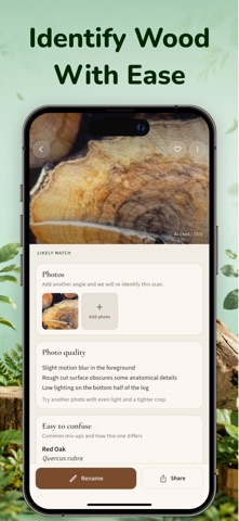 Wood Identifier App - WoodyAI Screenshot 4 of 7