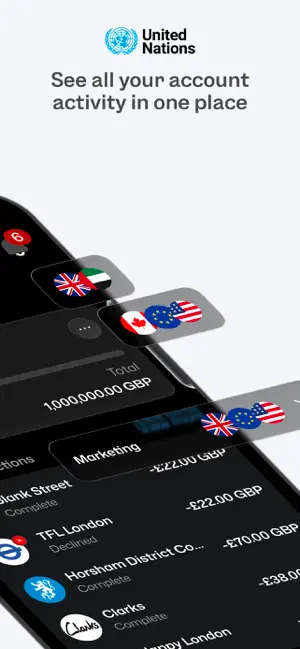 United Nations Payment Card screenshot 2