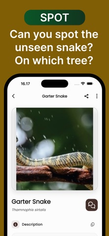 Snake ID: AI Snake Identifier Screenshot 4 of 6
