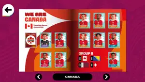 FIFA Panini Collection screenshot 3