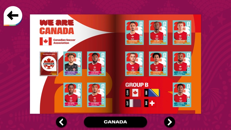 FIFA Panini Collection screenshot 3