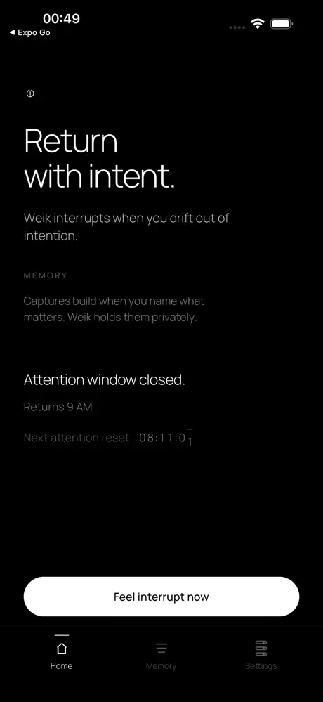 Weik screenshot 4