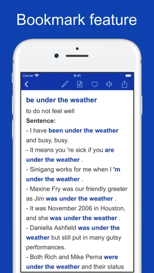 Common Phrases & Collocations iPhone Ekran Görüntüsü 4