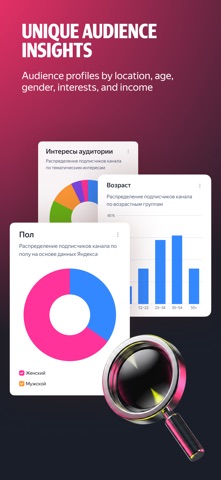 Yandex ProBlogger Screenshot 4 of 5