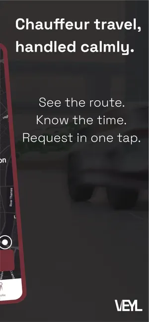 VEYL screenshot 2