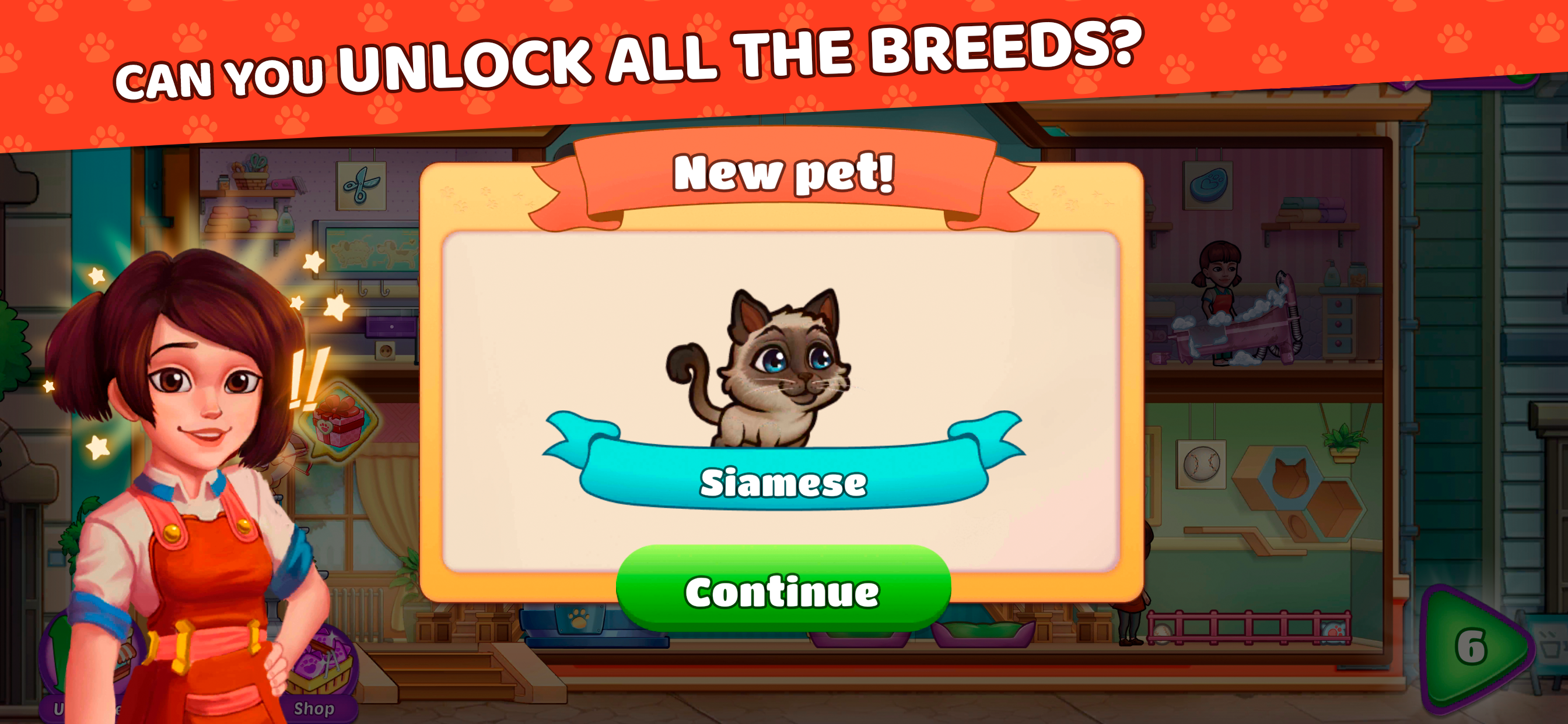 Pet Shop Fever Time Management