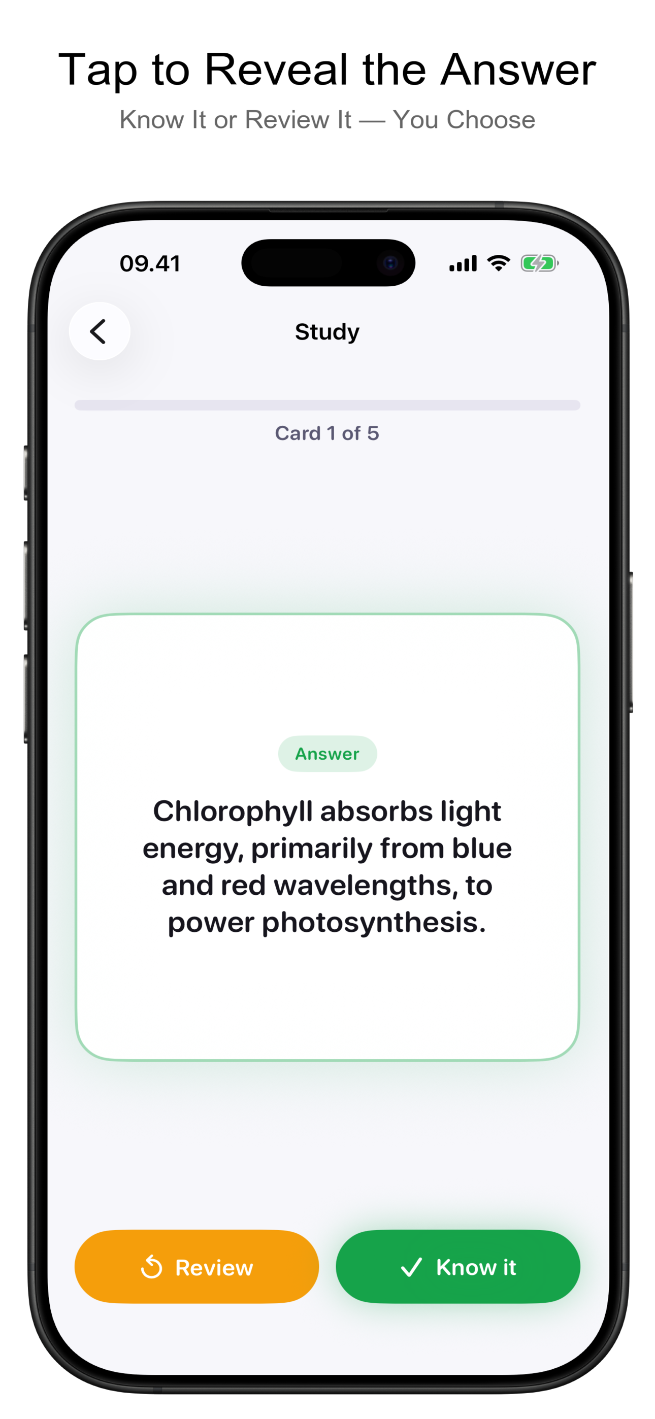 SnapDeck AI