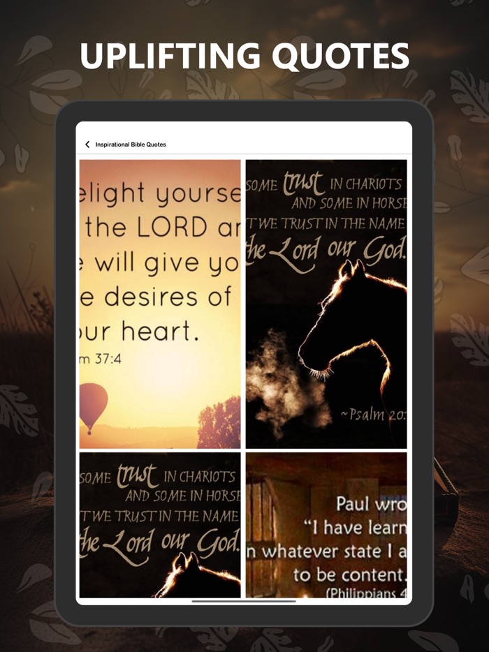 New Living Translation NLT Pro