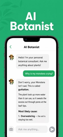 Plant Flow: Identify & Care iPhone screenshot