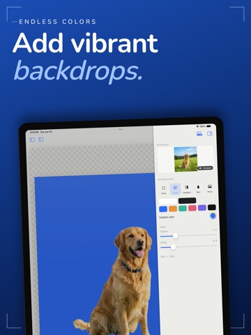 Sweep: Background Remover iPad screenshot
