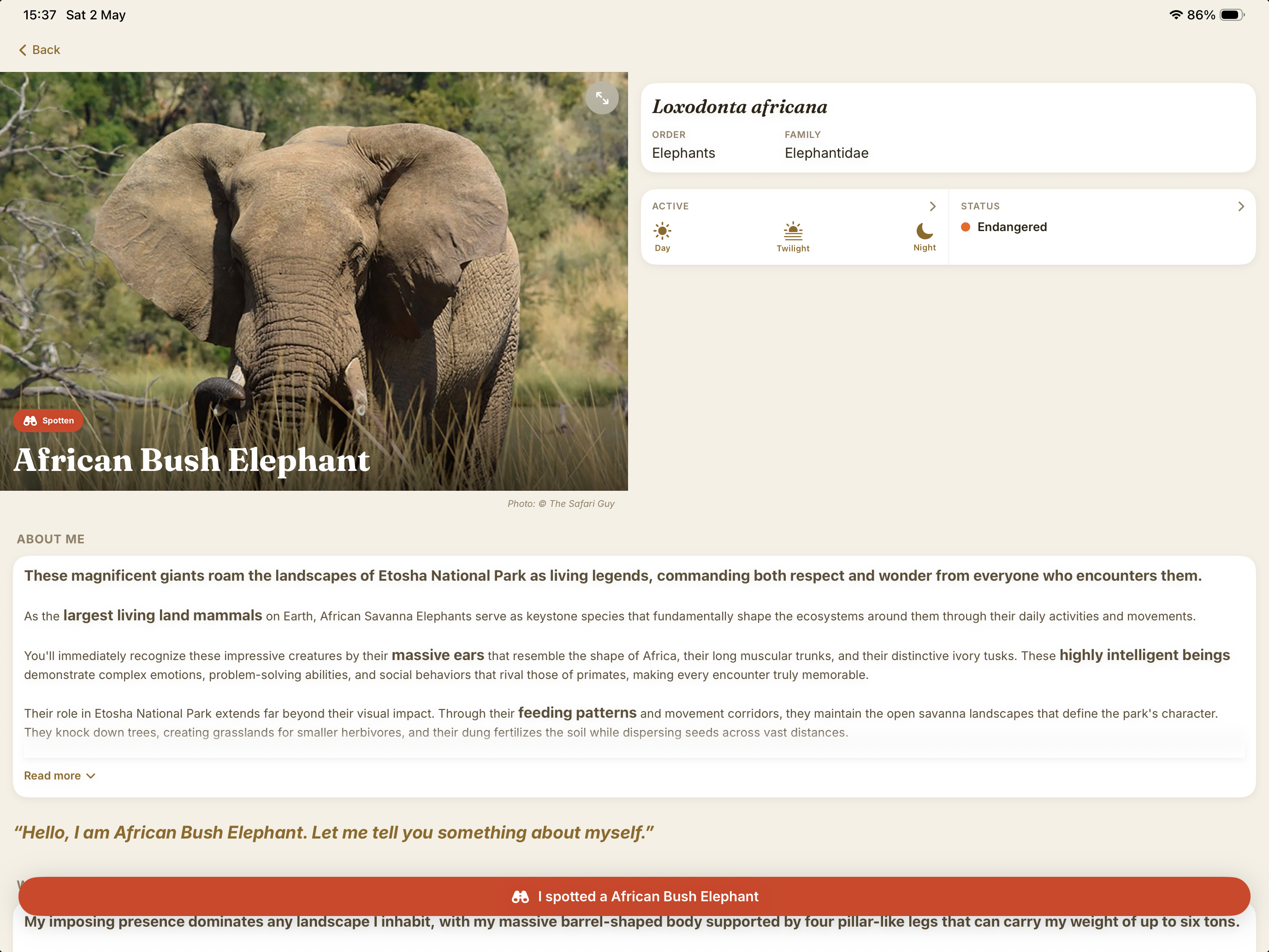 Etosha Safari