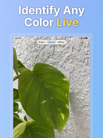 Color Name Finder iPad screenshot