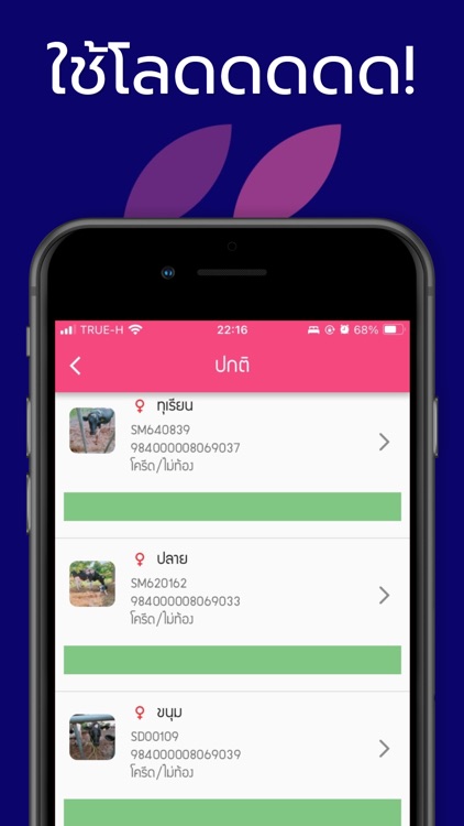 เซียนวัว screenshot-7