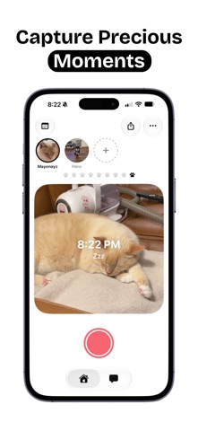 Ugly Paw Club screenshot