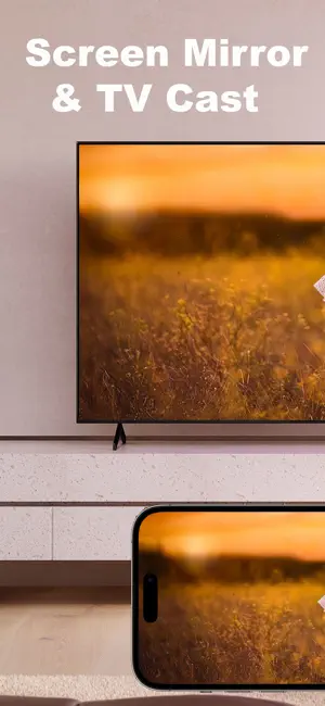 Miracast ®ﾠ screenshot 1