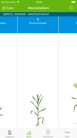 Screenshot von Agrar Bestimmer auf dem iPhone 7