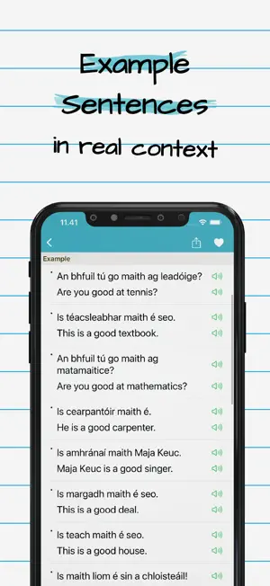 Irish English Dictionary + screenshot 3