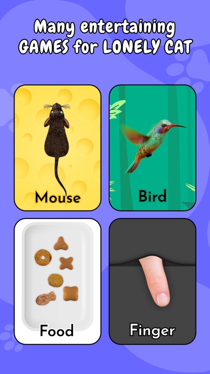 Test IQ Cat - Cat Toy