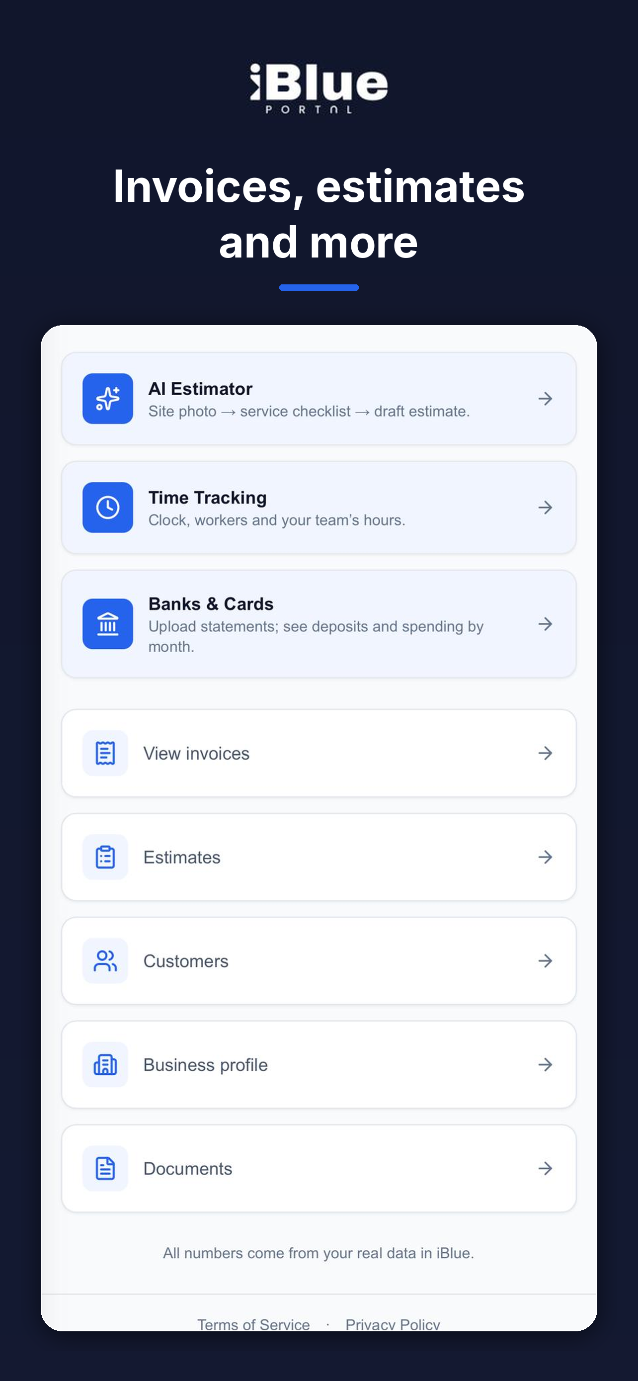iBlue Portal screenshot 6