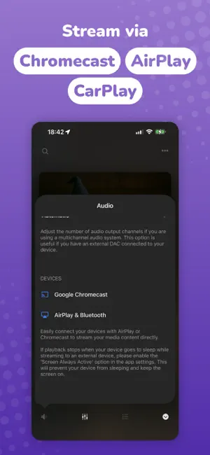 Evermusic: Cloud Music Player screenshot 8